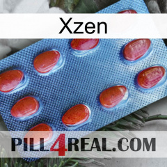 Xzen 06